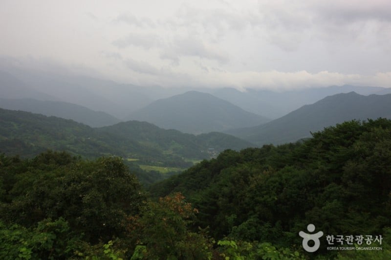 智異山天王峰 (1/1)