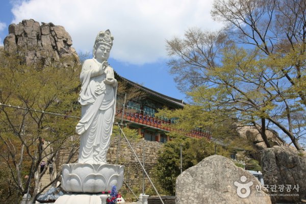 錦山菩提庵（南海）