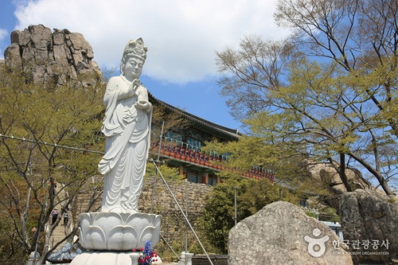 錦山菩提庵（南海） (1/32)