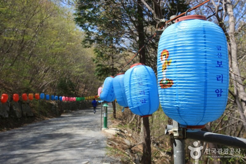 錦山菩提庵（南海） (3/32)