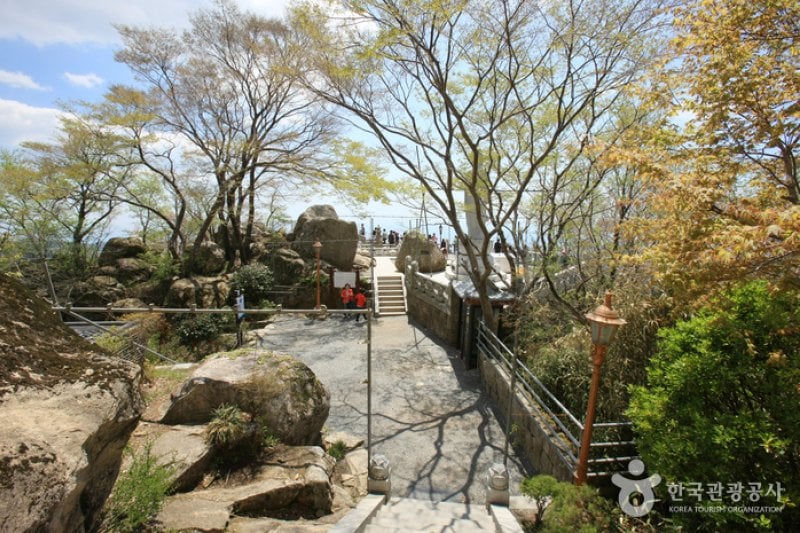 錦山菩提庵（南海） (11/32)