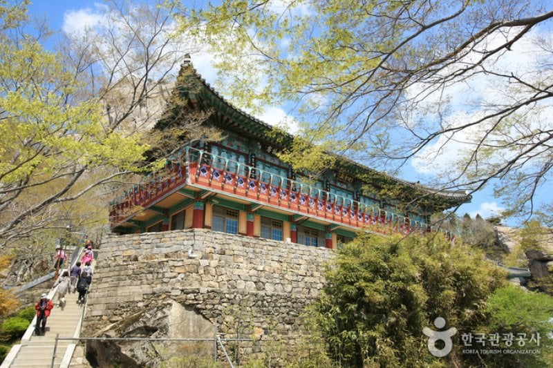 錦山菩提庵（南海） (13/32)