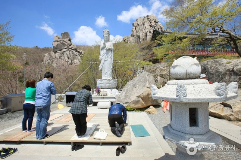 錦山菩提庵（南海） (14/32)