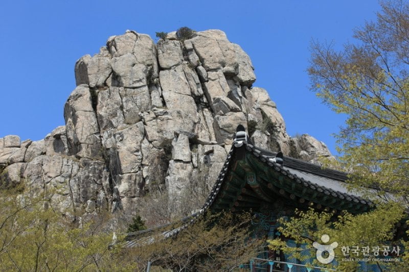 錦山菩提庵（南海） (16/32)