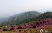 黄梅山