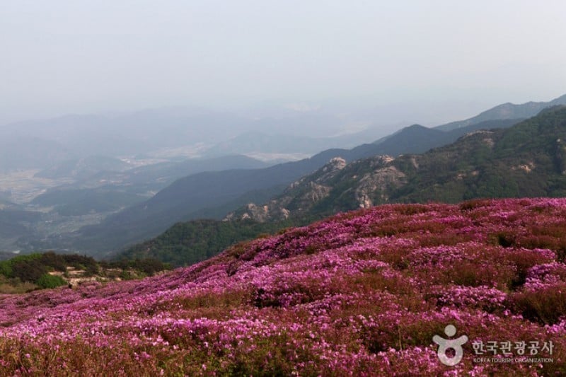 黄梅山 (2/12)