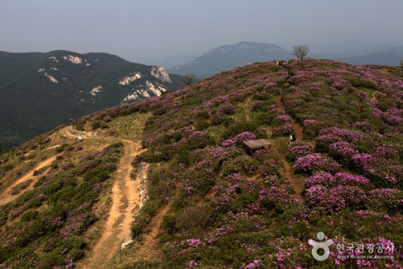 黄梅山 (5/12)