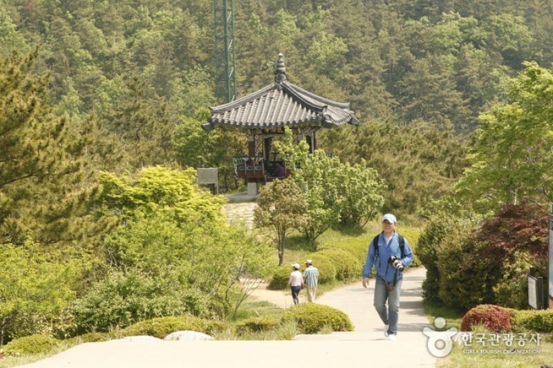 達牙公園 (7/13)