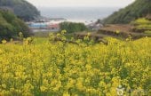 トゥモ村（두모마을）