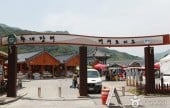 河東花開市場