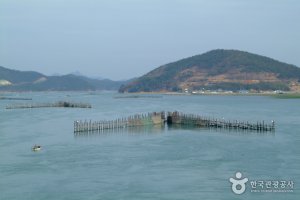 原始漁業竹防簾（원시어업죽방렴）