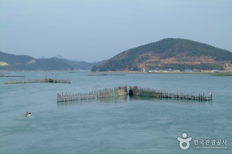 原始漁業竹防簾（원시어업죽방렴） (1/8)
