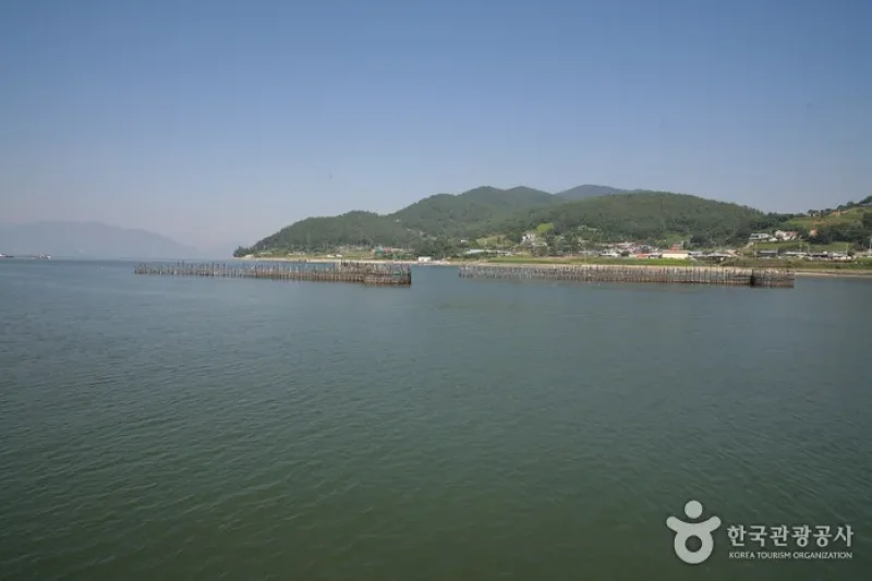 原始漁業竹防簾（원시어업죽방렴） (5/8)
