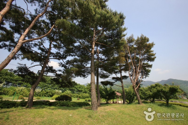 平沙里公園 (9/20)