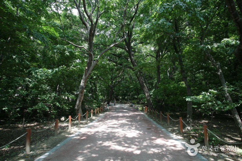 上林公園 (5/12)