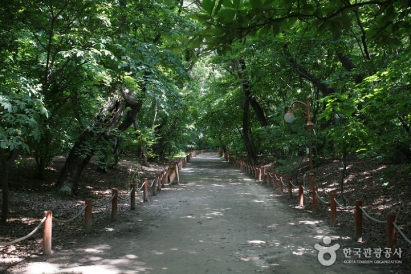 上林公園 (6/12)