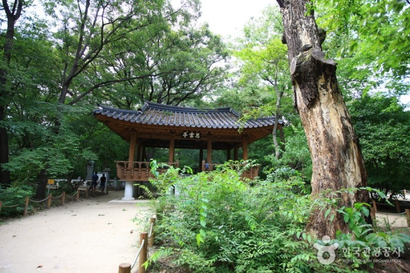 上林公園 (8/12)