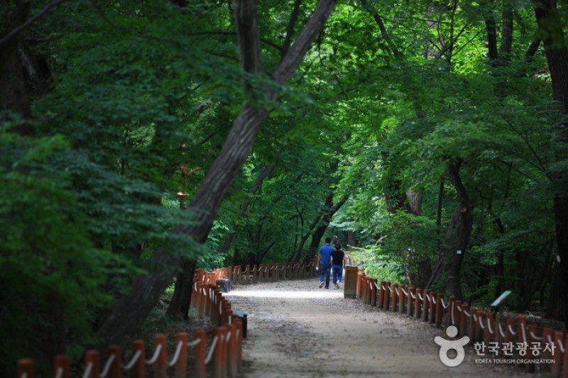 上林公園 (9/12)