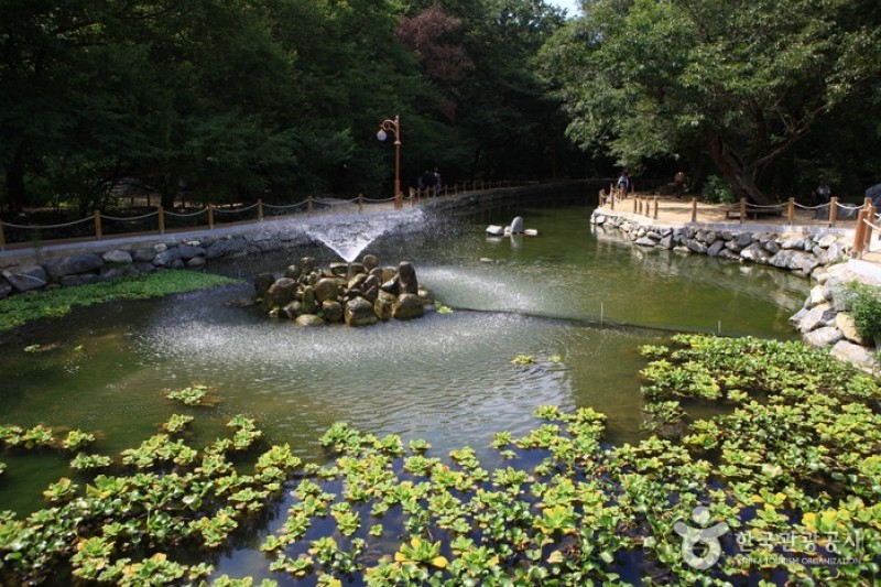 上林公園 (10/12)
