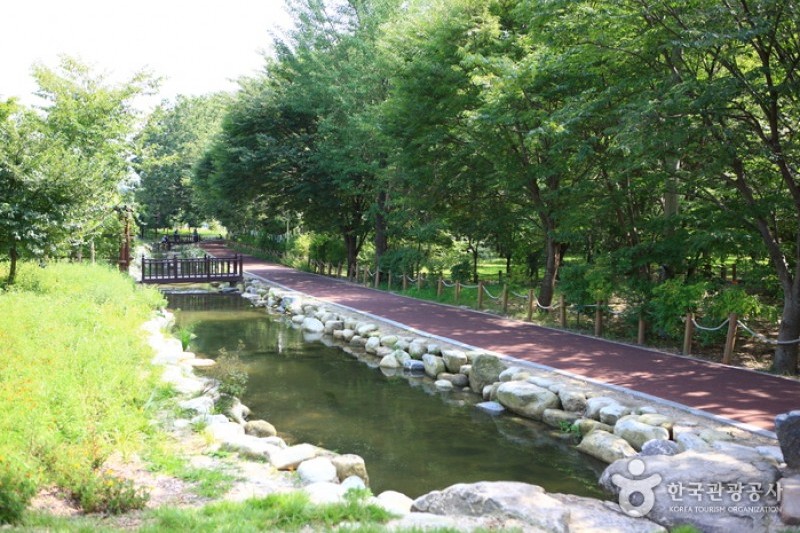 上林公園 (12/12)
