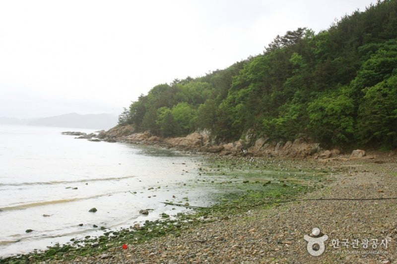 徳浦海水浴場 (1/6)
