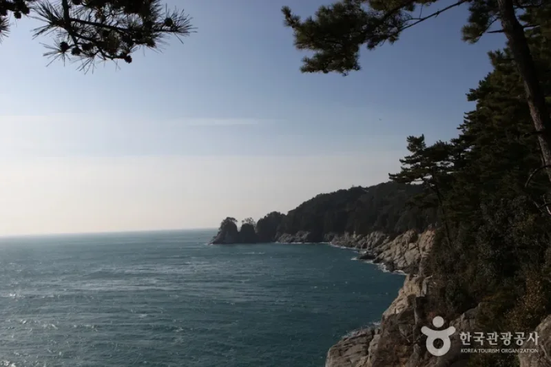 只心島（지심도） (1/26)