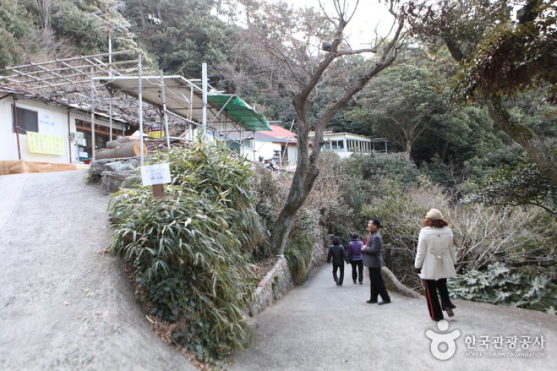 只心島（지심도） (4/26)