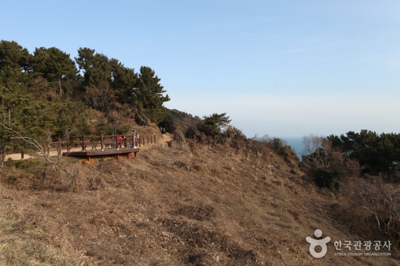 只心島（지심도） (12/26)