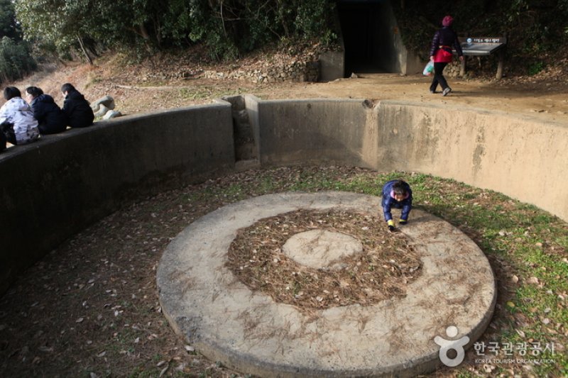 只心島（지심도） (14/26)
