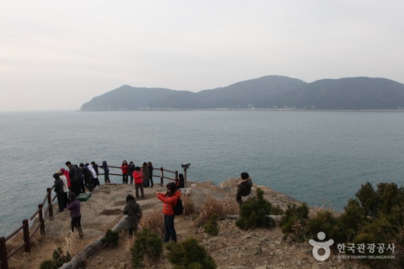只心島（지심도） (16/26)
