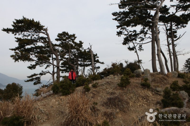 只心島（지심도） (17/26)