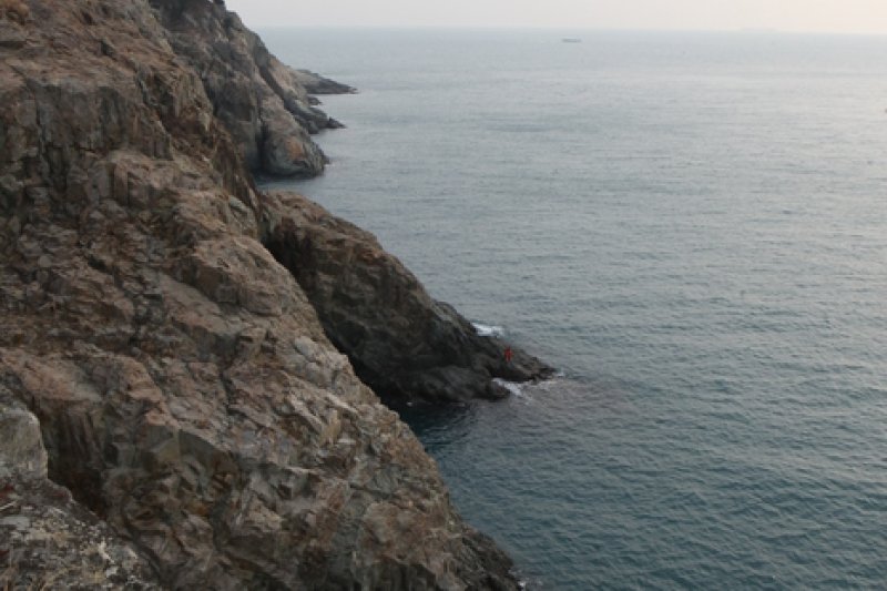 只心島（지심도） (18/26)
