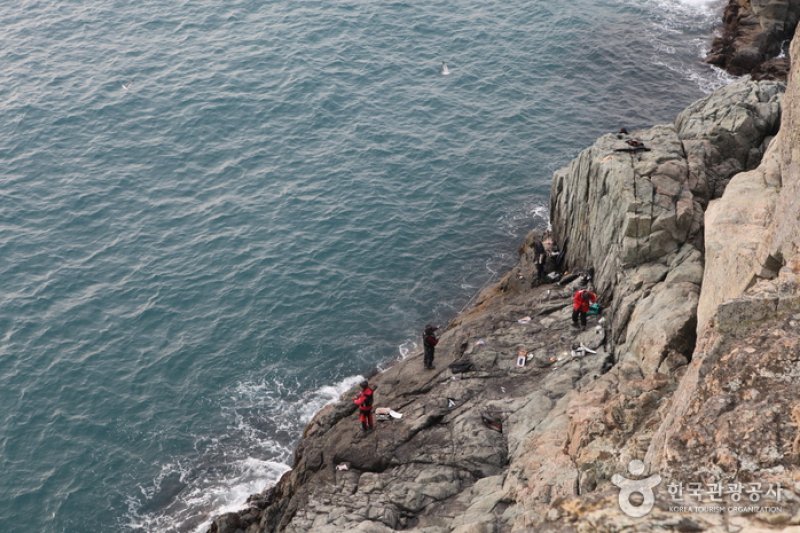 只心島（지심도） (19/26)