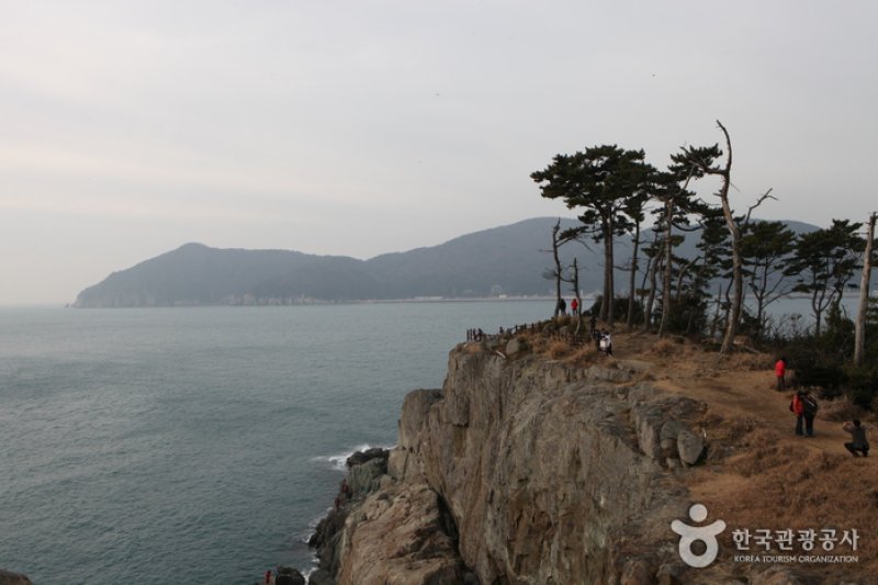 只心島（지심도） (21/26)