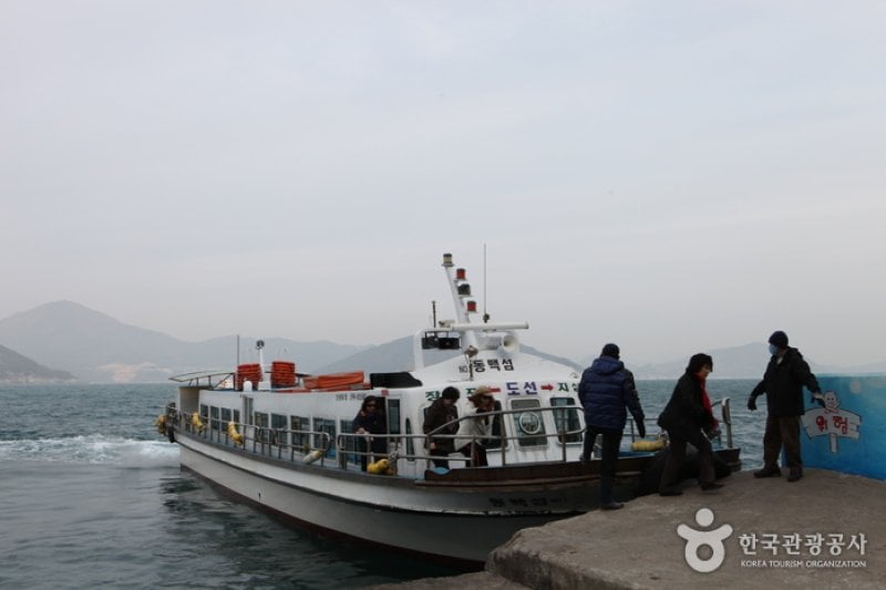 只心島（지심도） (23/26)