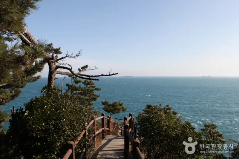 只心島（지심도） (26/26)