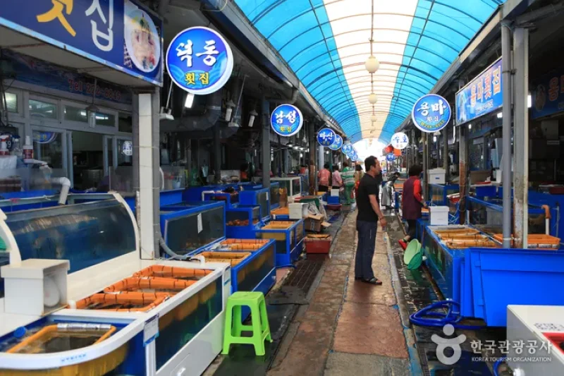 馬山魚市場（마산어시장） (1/7)