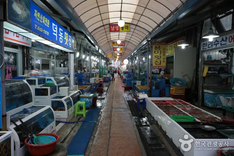馬山魚市場（마산어시장） (2/7)
