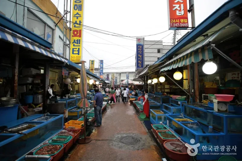 馬山魚市場（마산어시장） (3/7)