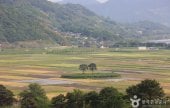 平沙里平野