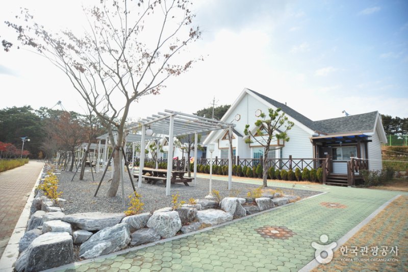 唐項浦観光地ペンション[優秀宿泊施設]  (1/14)
