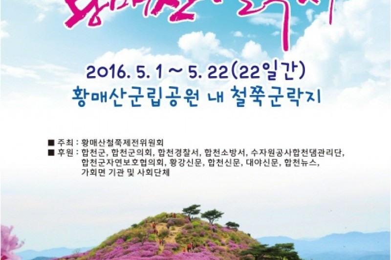陜川 黄梅山つつじ祭 (1/3)