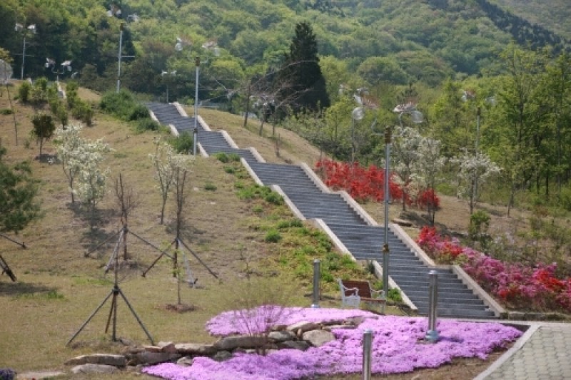 南海ナビ（蝶）＆ザ テーマパーク（旧 ナビ生態公園）（남해 나비&amp;더 테마파크  (16/20)