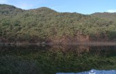 俗離山国立公園（忠清北道）（속리산국립공원