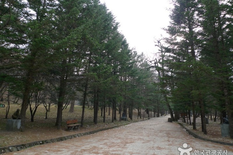 俗離山国立公園（忠清北道）（속리산국립공원 (8/24)