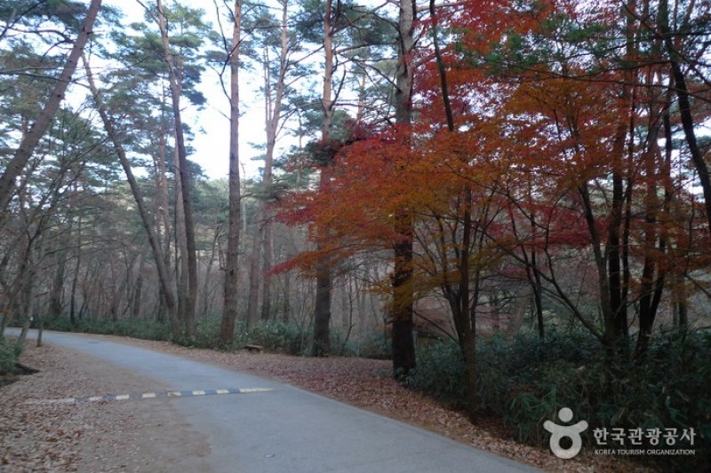 俗離山国立公園（忠清北道）（속리산국립공원 (13/24)