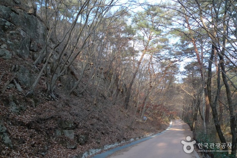 俗離山国立公園（忠清北道）（속리산국립공원 (14/24)