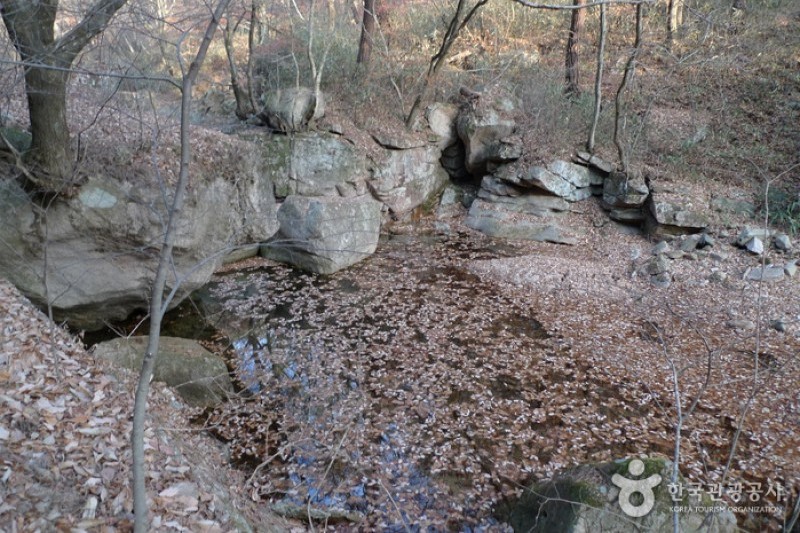 俗離山国立公園（忠清北道）（속리산국립공원 (15/24)