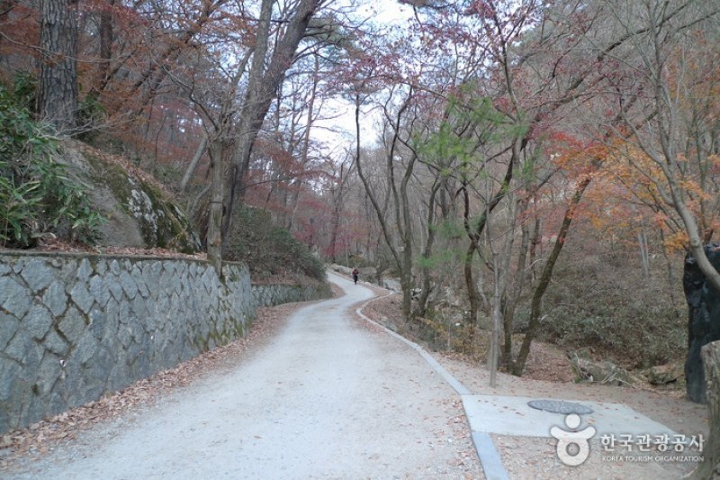 俗離山国立公園（忠清北道）（속리산국립공원 (17/24)