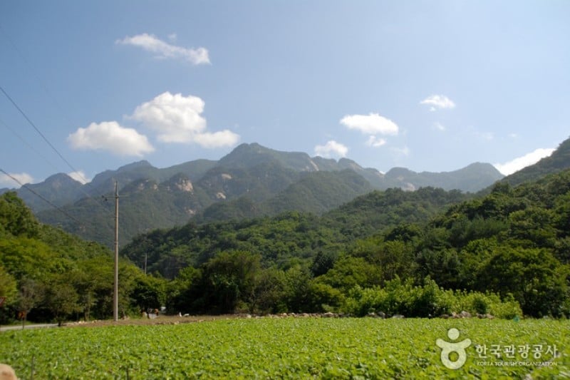 月岳山国立公園 (2/14)